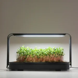 MicroGreen Garden Black