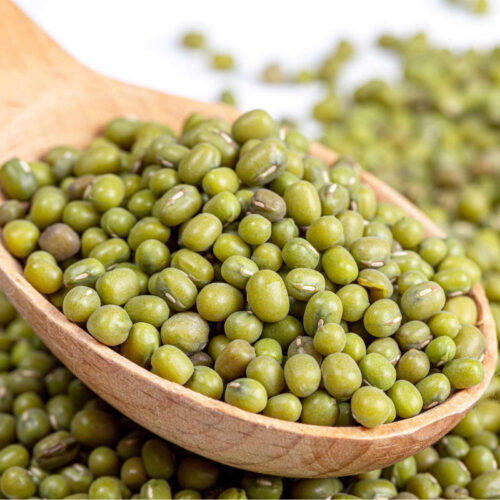 mung beans seeds lille large 1 4