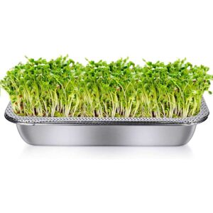 Microgreens Trays Stainless Steel, 22×32 cm