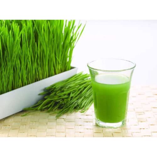 Organic Wheatgrass